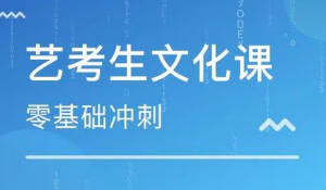 山西太原市坞城路附近哪家专业艺考文化课集训营好